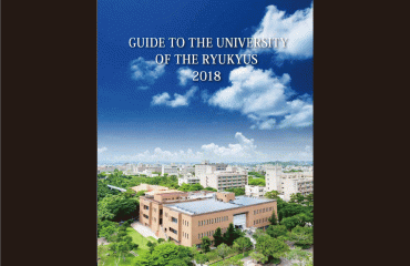 University Brochure (English)