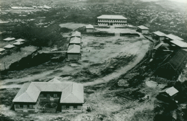 動画ギャラリー