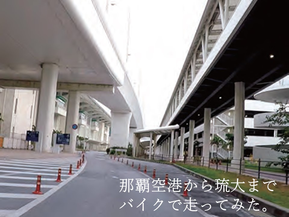 琉球 大学 自転車