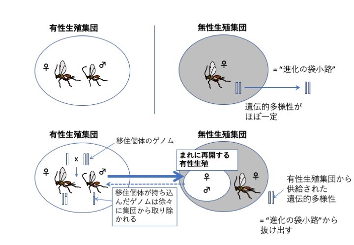 ガンは伝染する! : 恐るべき寄生虫症の真相 Amazon.co.jp: ガンは伝染する: 恐るべき寄生虫症の真相 : 笹川