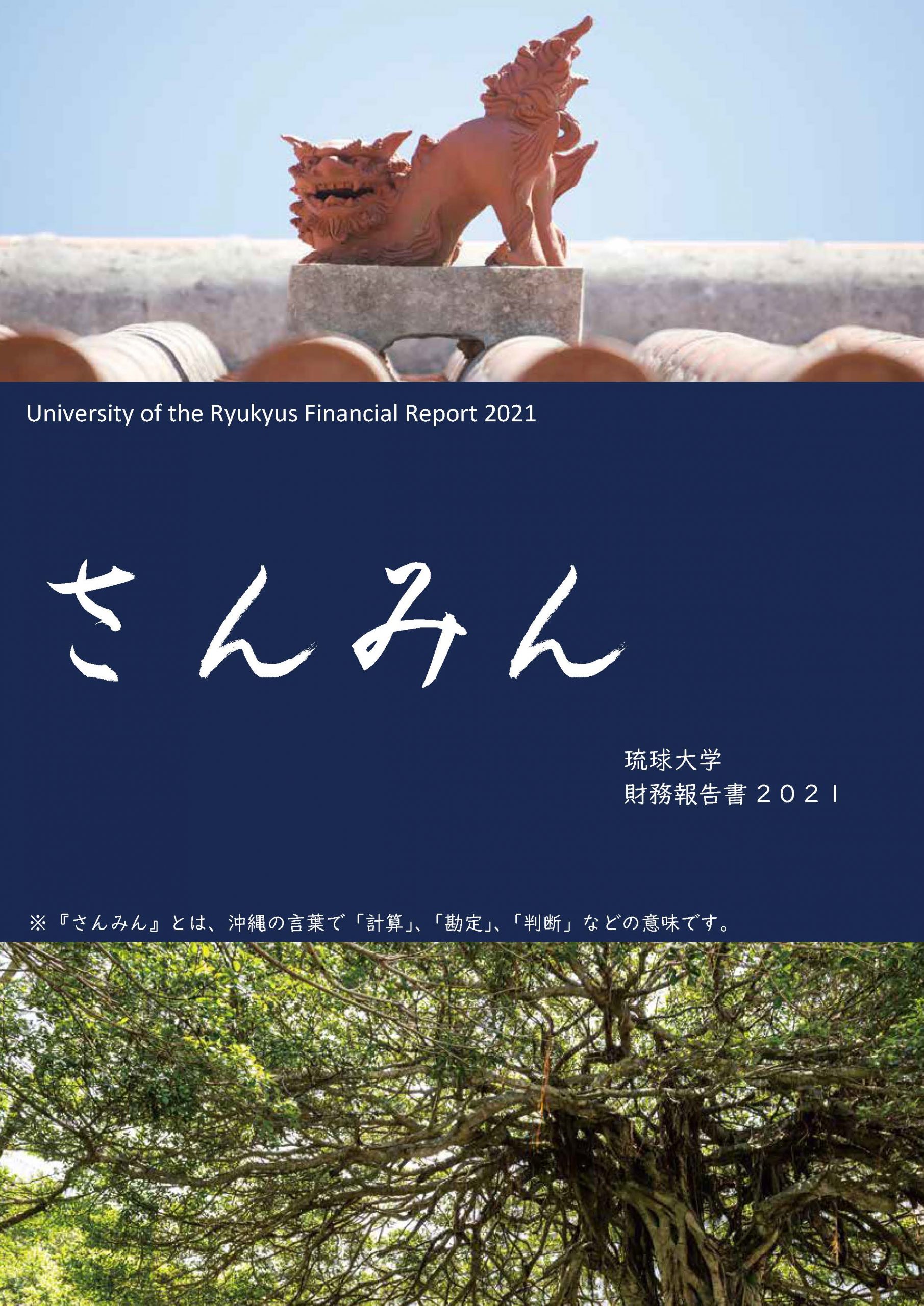 琉球大学財務報告書(さんみん)